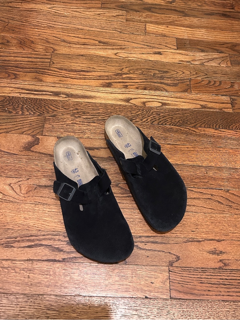 Birkenstock Black Suede Clog-Style Slip-On with Buckle